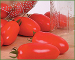 Saladette & Sauce Tomatoes