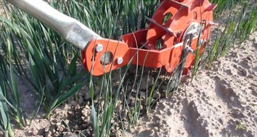 5-inch Wheel Weeder