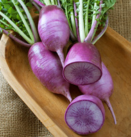 KN-Bravo Daikon Radish