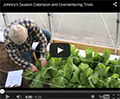 Season Extension / Overwintering Trials Season Extension / Overwintering Trials
