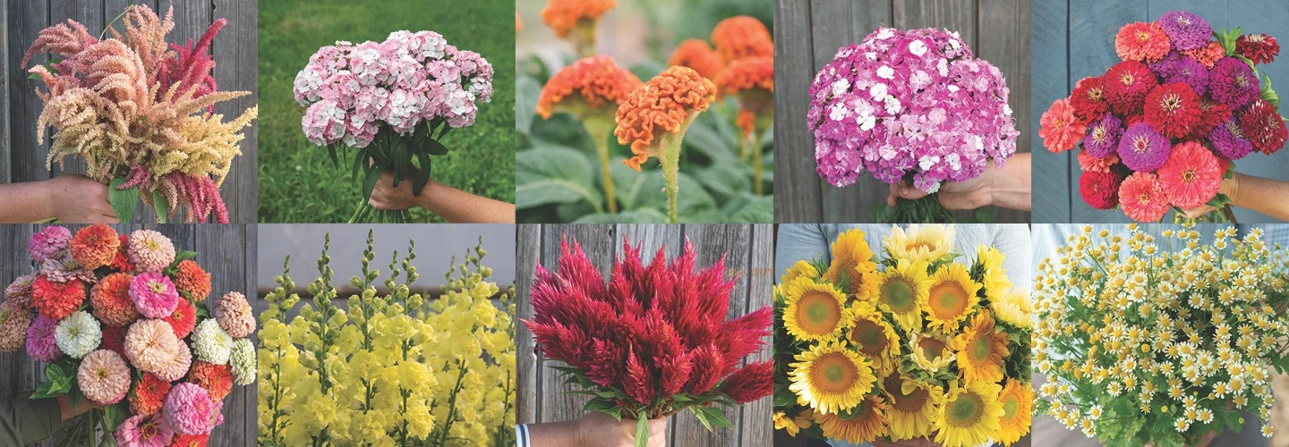 Montage of flowers