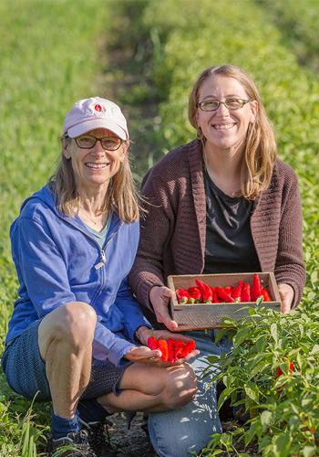 Award-Winning Red Ember Cayenne Pepper