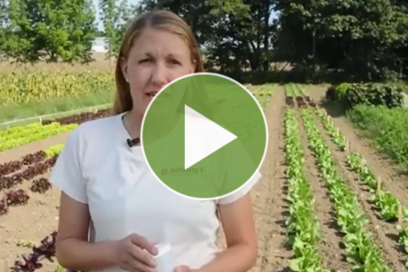 Video about pelleted seeds