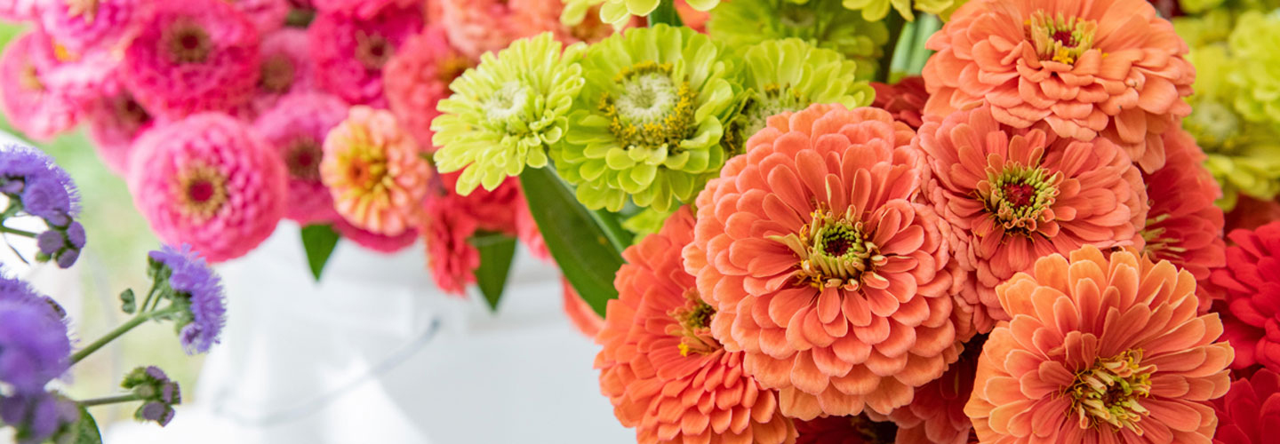 Orange, Green and Pick Zinnias in White Buckets
