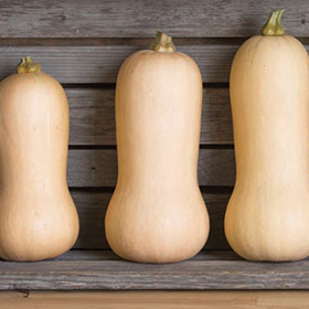 Bulk Winter Squash Seed