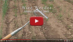 Wire Weeder Demo Wire Weeder Demo