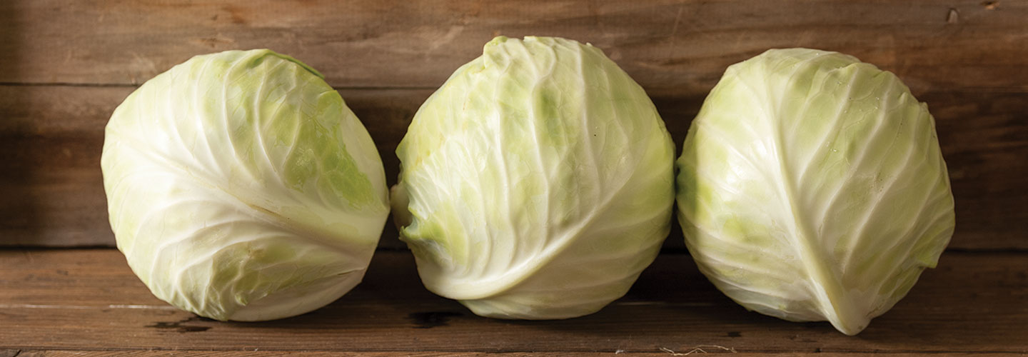 Three heads of green cabbage