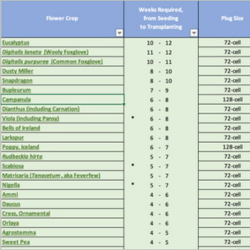 planning tools & calculators
