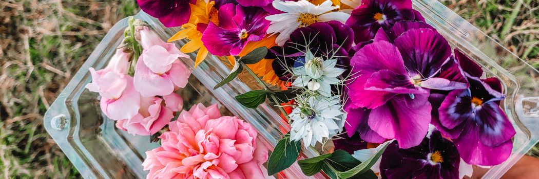 Eat Your Flowers: Serve Up That Wow Factor With Edible Flowers