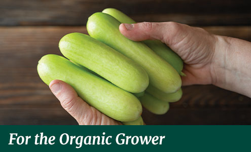 gifts for the organic grower