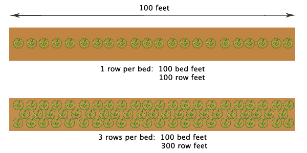 A graphic depicting the definition of and distinction between bed feet vs. row feet.