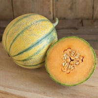 Griselet Charentais Melon Seed