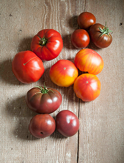 French Heritage Collection • Les tomates si belle