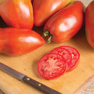Heirloom Blue Beech Paste Tomato