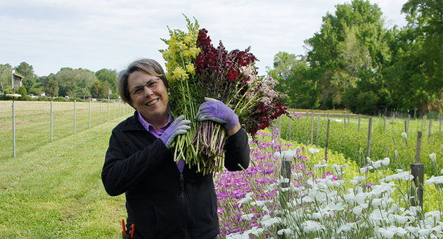 Lisa Mason Ziegler, on growing hardy cool-season annuals