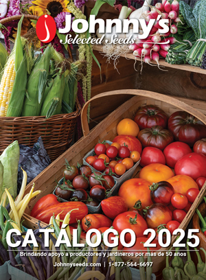 Español Catálogo Digital 2025