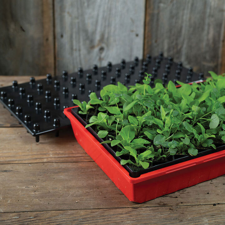 Air Pruning Starter Kit