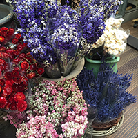 Amsterdam public flower market