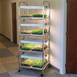 Compact Seedling Light Cart