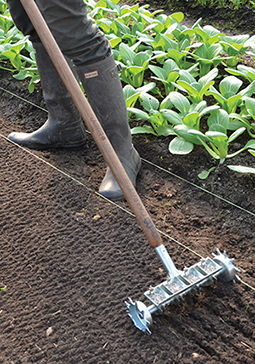 Precision Carrot Seeding with the 4-Row Seeder