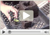 Watch the soil-block video!
