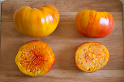 Striped German (L) & Margold (R)