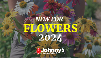 New Flowers for 2024 Webinar Slide Deck PDF