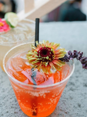 zinnia flower topping a cocktail