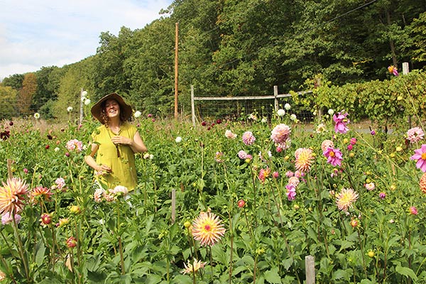 Laying landscape fabric at Stars of the Meadow