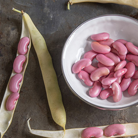 How to Grow Dry Beans