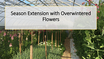 Overwinter Flowers Webinar • Recap/Slideshow • PDF