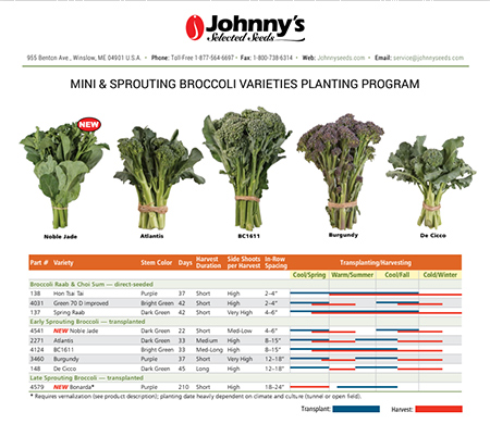 Refer to our Mini & Sprouting Planting Program for more details on timing your plantings.