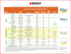 Onion Comparison Chart