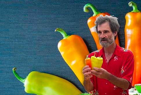 Johnny's Open-Pollinated Stewardship Project