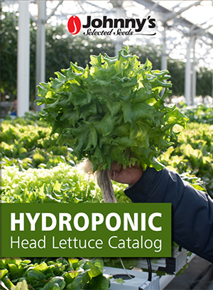 Johnny's Digital Hydroponic Head Lettuce Catalog