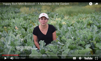 'Happy Rich' is a mainstay in the summer garden of Lauren Giroux, Johnny's Vegetable Product Manager.