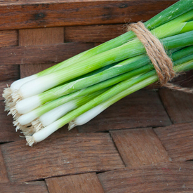 Parade Organic Bunching Onion Seed