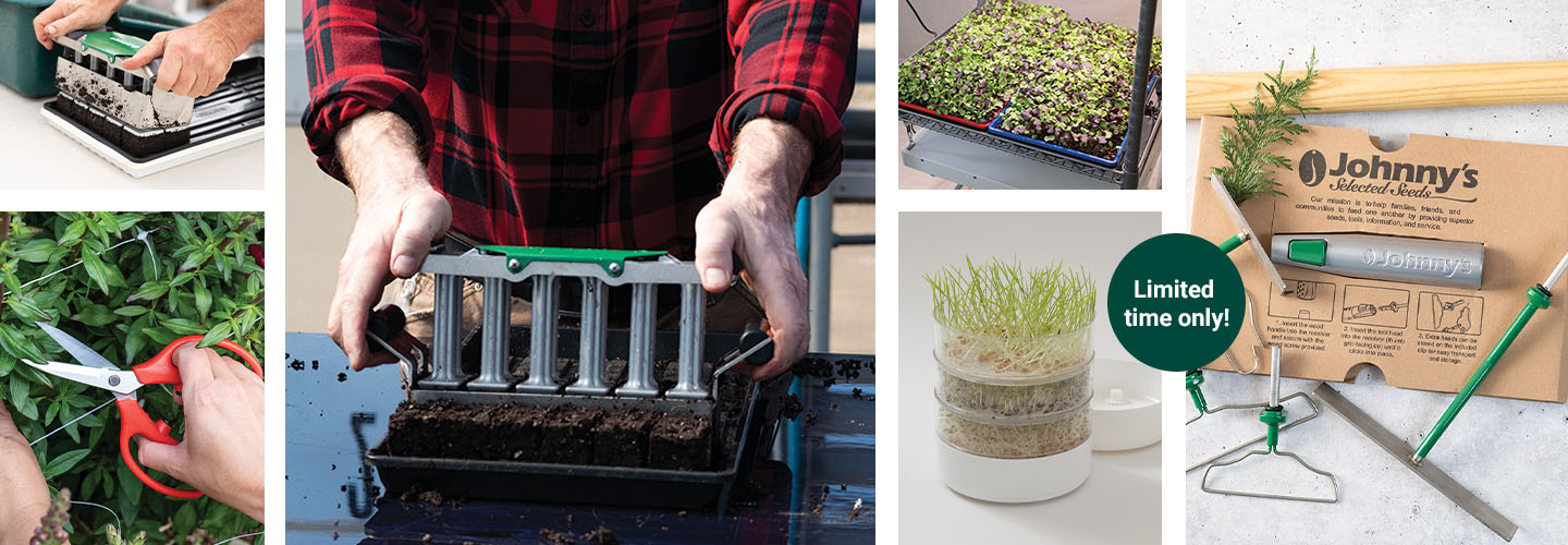 Save Now Through Monday