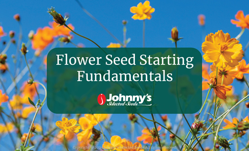 Flower Seed Starting Fundamentals: Webinar