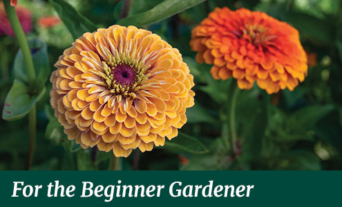 gifts for beginner gardeners