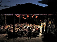 Al fresco dining beneath the stars