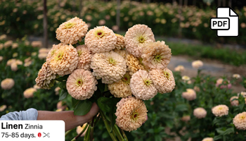 New Flowers for 2026 Webinar Slide Deck PDF