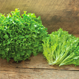 Intercut Lettuce Seed