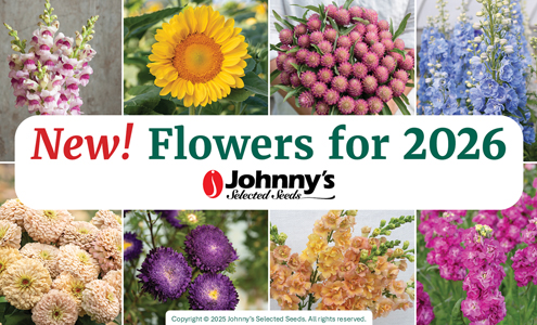 New Flowers for 2026