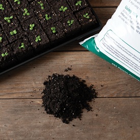 Seed Starting Supplies