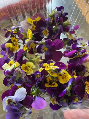 Pansies in a plastic clamshell container