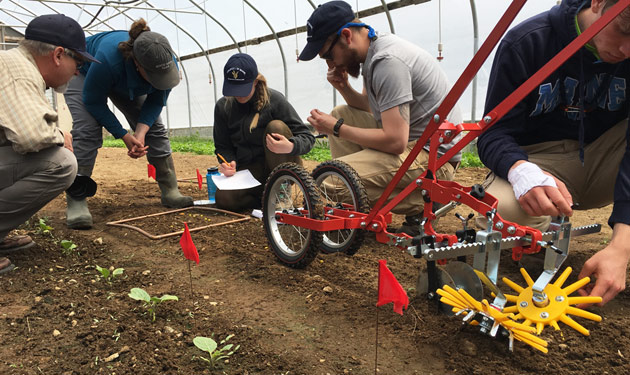 Weed management basics for growers of all abilities