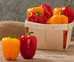 Cupid & Eros Organic (F1) Peppers Cupid & Eros Organic (F1) Peppers