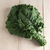 White Russian Organic Kale Seed