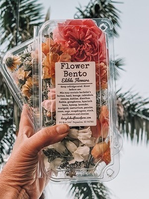 A mixture of edible flowers in a plastic 'bento box'